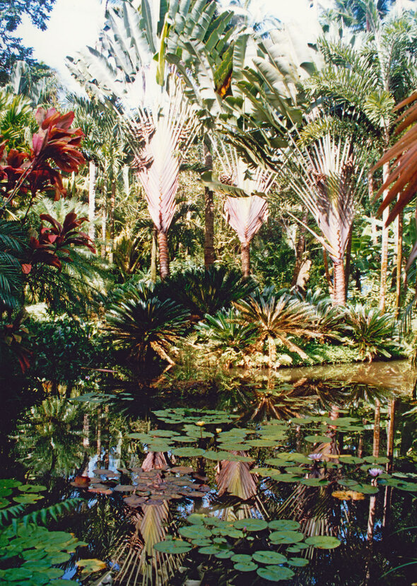 Big Island Botanical Garden