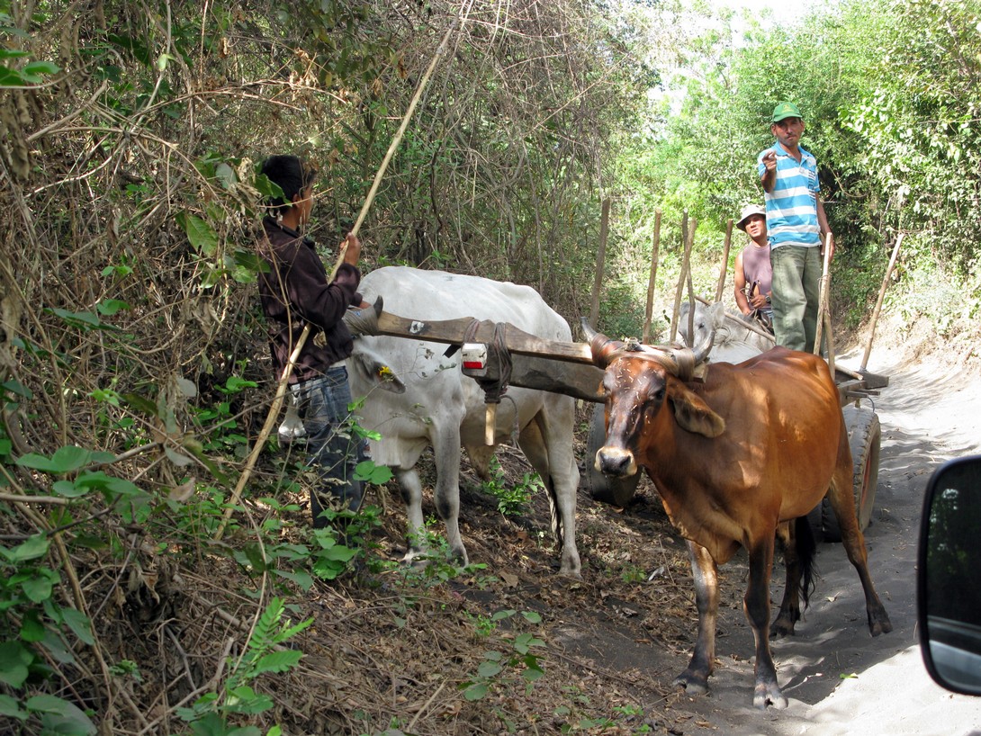 Schmale Straße bei León in Nicaragua