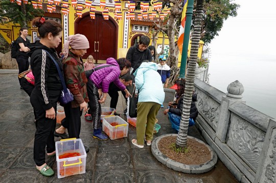 Fischverkäufer an der Tran Quoc Pagode