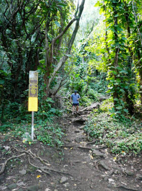 Der Anfang vom Kalalau Trail