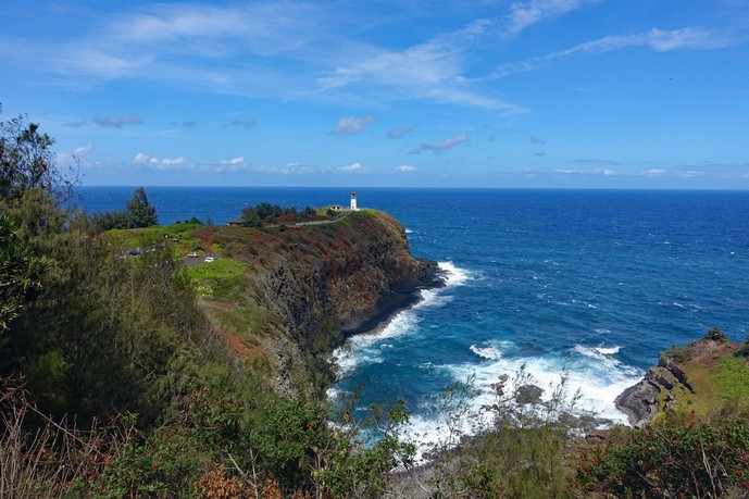 Vogelschutzgebiet am Kilauea  Leuchtturm