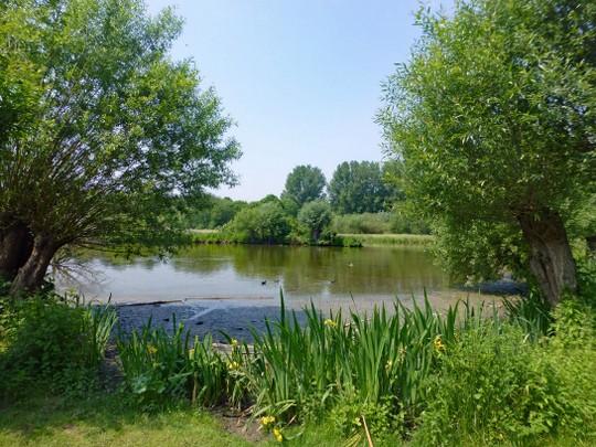 Klassentreffen OIb 2013-23 Im Museum Insel Hombroich