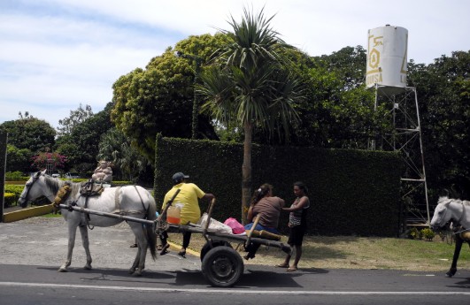 Pferdefuhrwerk auf der Panamericana in Nicaragua
