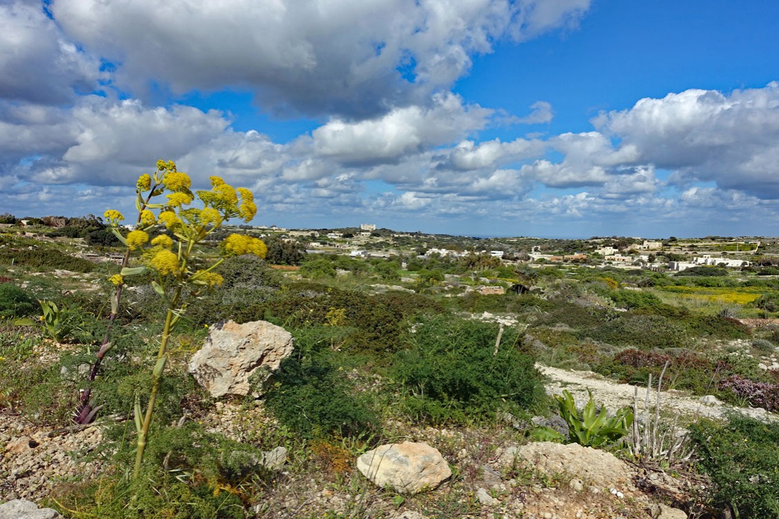 Blick von den Dingli Klippen über das Land bis zum Verdala Palast