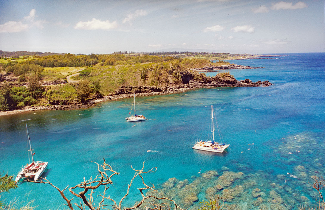 Maui Honolua Bay