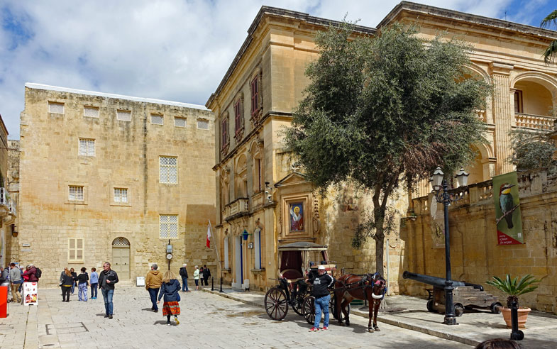St. Publius Square Medina