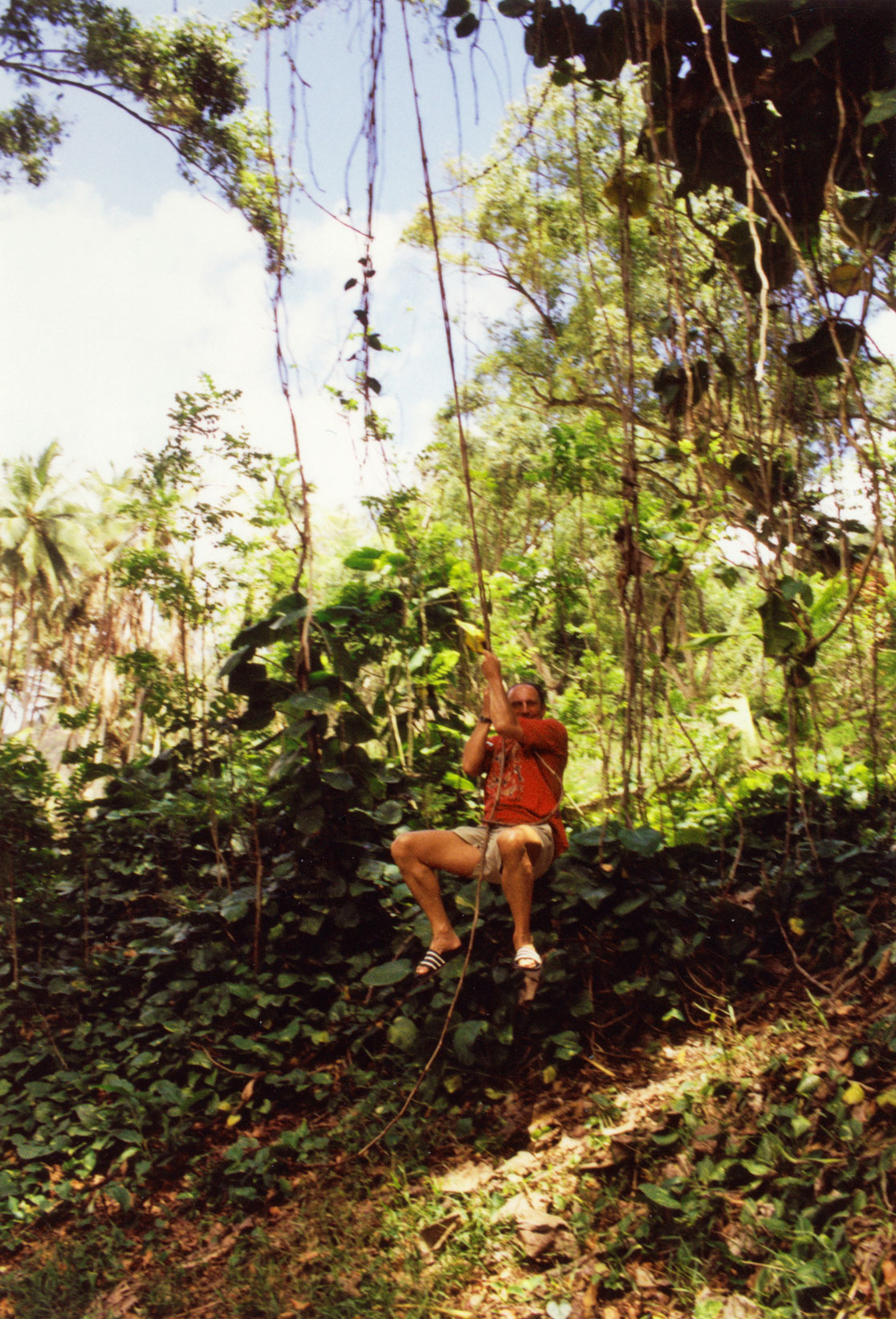 Lianenschwung in Halawa auf Molokai