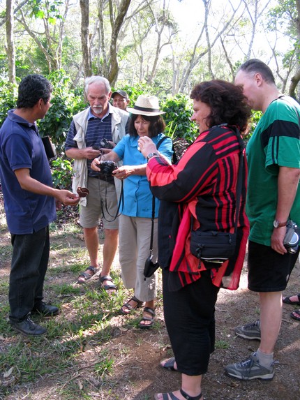 Auf der Plantage in Diriamba