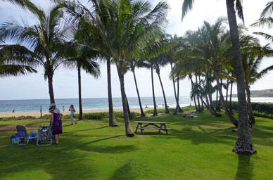 Beachpark am Shipwreck Beach